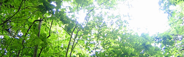 季節の画像